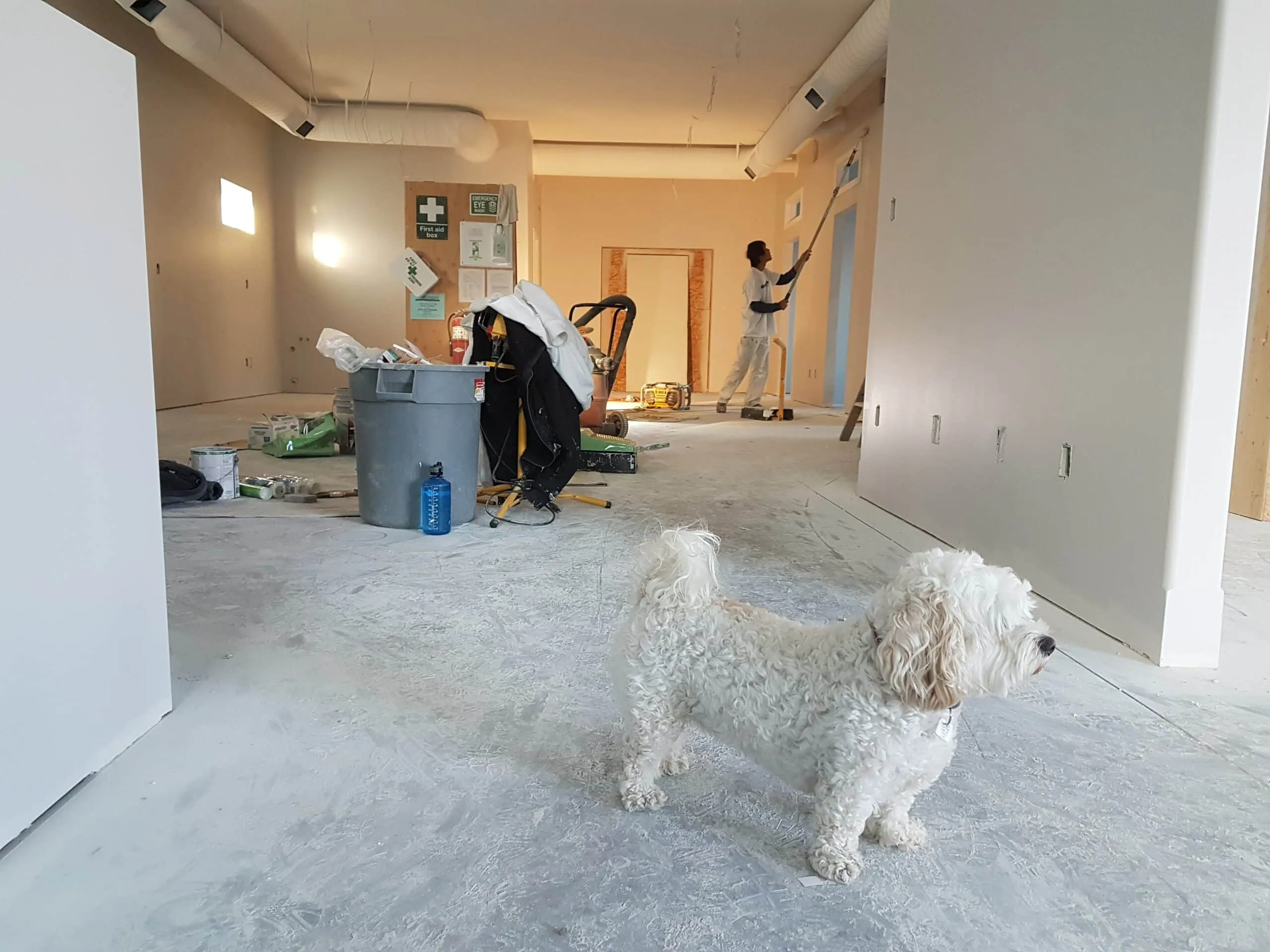 Stress-Free Moving: End of Lease Cleaning Tips for Melbourne Renters